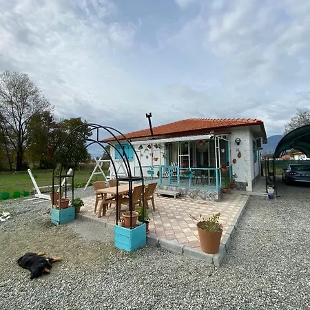 Peaceful House With Garden Near Iztuzu Beach アパート